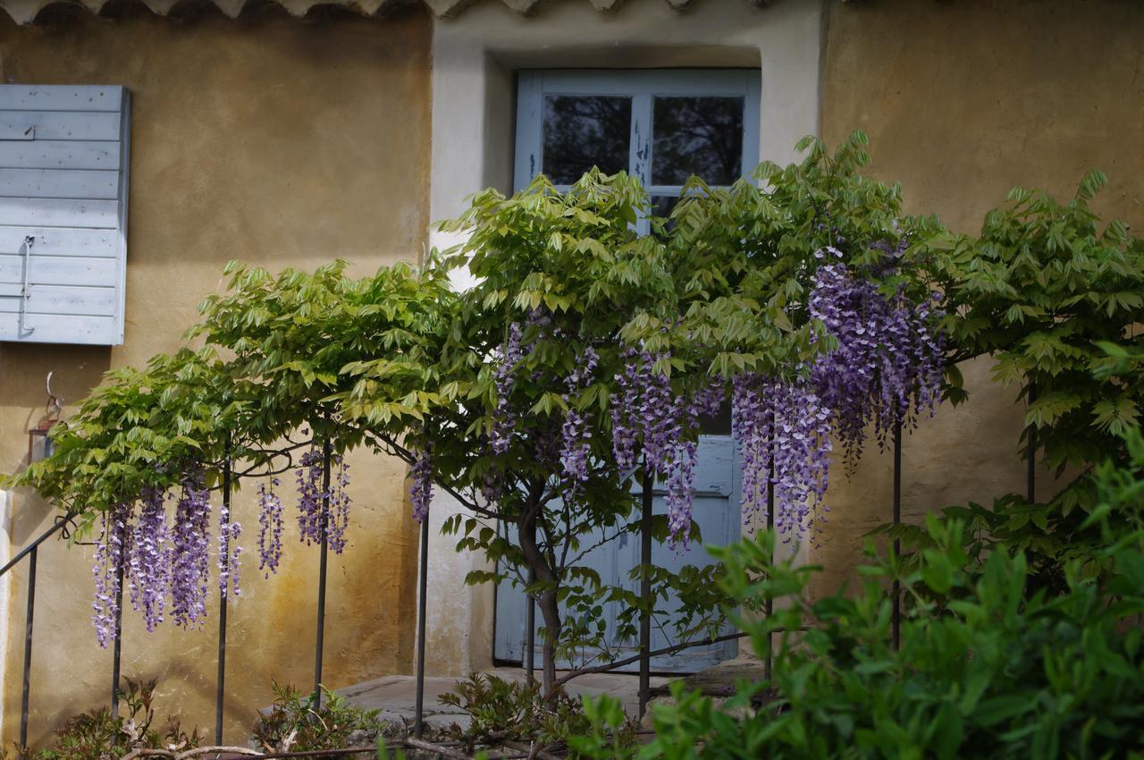Chambre d'hôtes Au coquin de sort Vaison-la-Romaine Exterior foto
